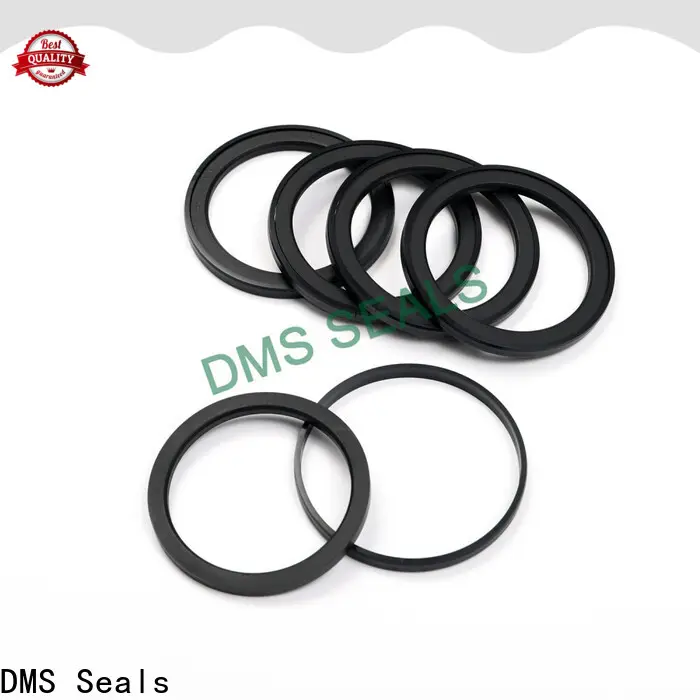 DMS Seals Best hydraulic valve seals supply for pneumatic equipment 1