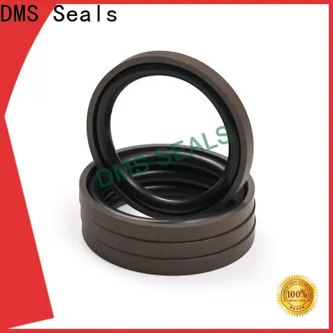 DMS Seals hydraulic rod wipers price for sale 1