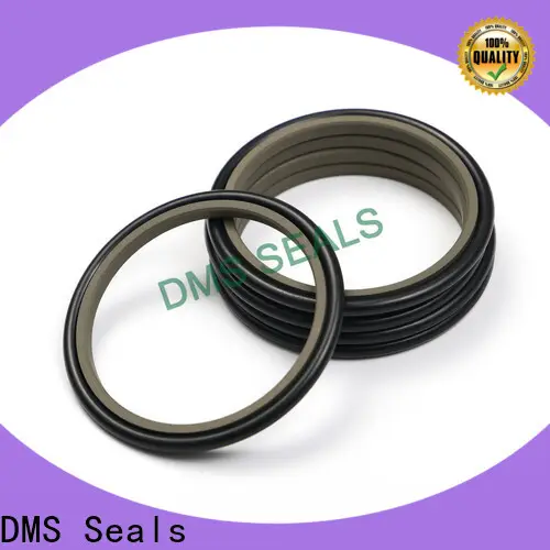 DMS Seals hydraulic cylinder packing material supplier to high and low speed 1