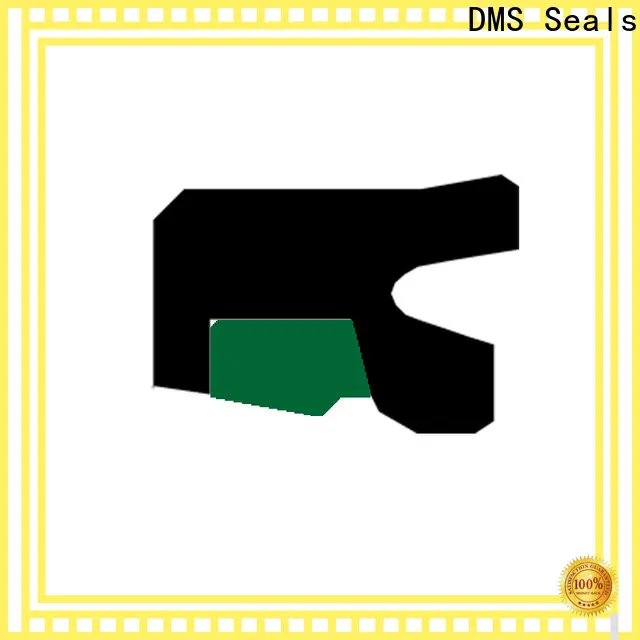 DMS Seals packing rod seals for pressure work and sliding high speed occasions 1
