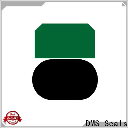 Best hydraulic cylinder seal design company for light and medium hydraulic systems 1