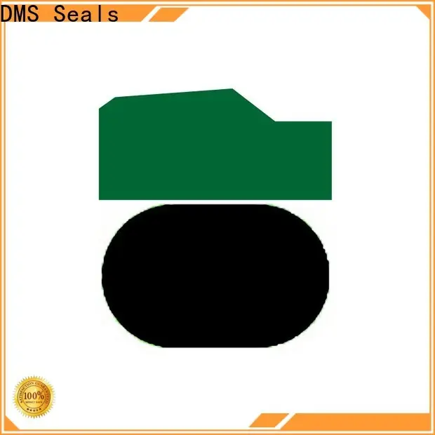 DMS Seals Top rod seal installation for pneumatic equipment 1