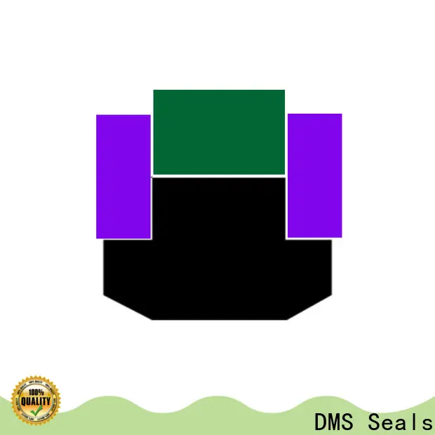 DMS Seals hydraulic seal design for light and medium hydraulic systems 1