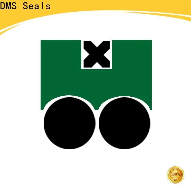 DMS Seals hydraulic piston seal installation for pneumatic equipment 1