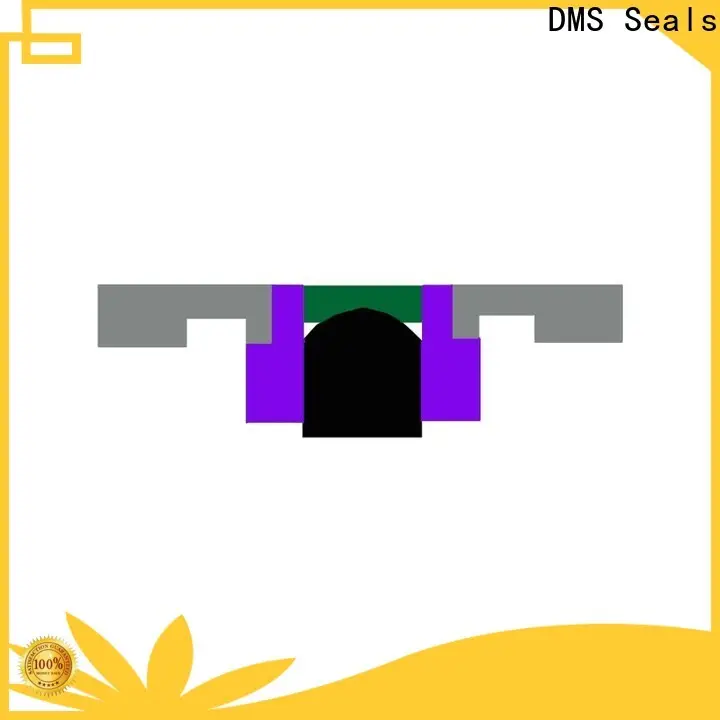 DMS Seals High-quality hydraulic seals companies supply for sale 1