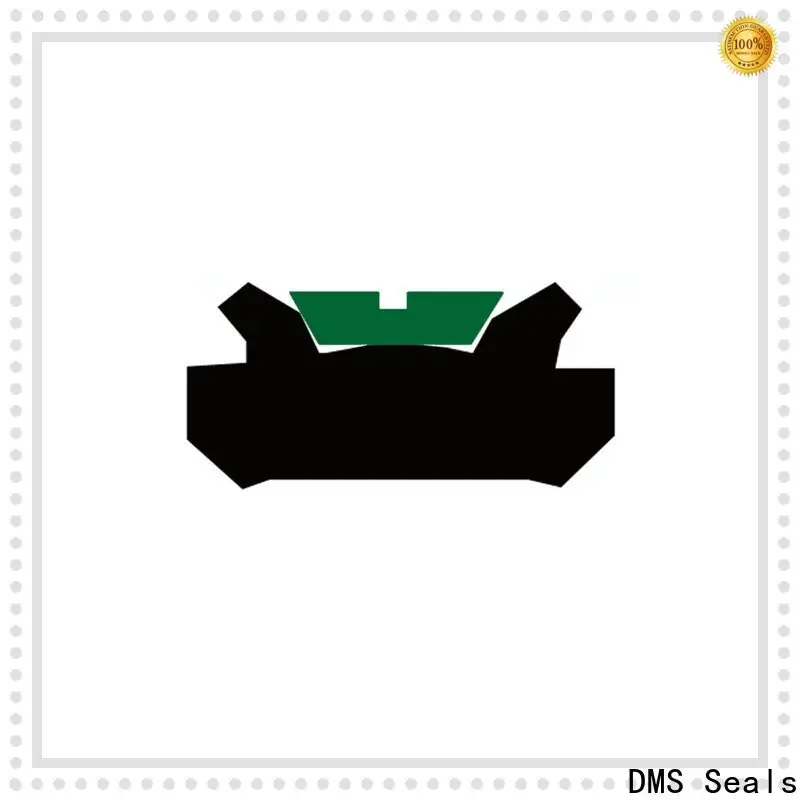 DMS Seals hydraulic rod wipers vendor for sale 1