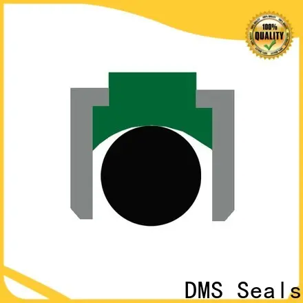 DMS Seals transmission piston seal factory for light and medium hydraulic systems 1