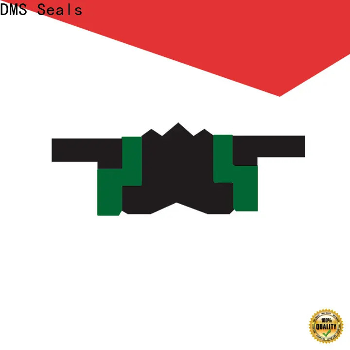 DMS Seals cheap oil seals for sale for pneumatic equipment 1