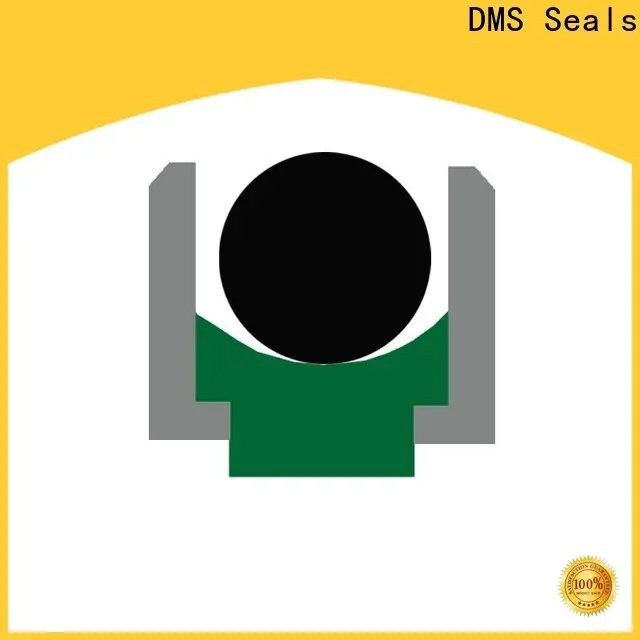 DMS Seals best hydraulic seal kit manufacturers supply for pressure work and sliding high speed occasions 1