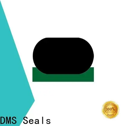 DMS Seals DMS Seals seal pneumatics inc wholesale for pressure work and sliding high speed occasions 1