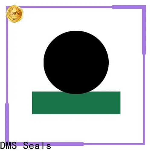 DMS Seals earth rod seal price for pressure work and sliding high speed occasions 1