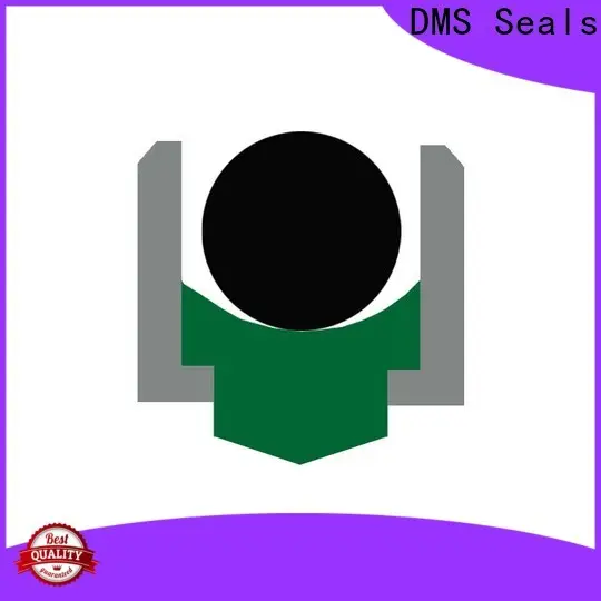 DMS Seals spareage hydraulic seals supply for automotive equipment 1