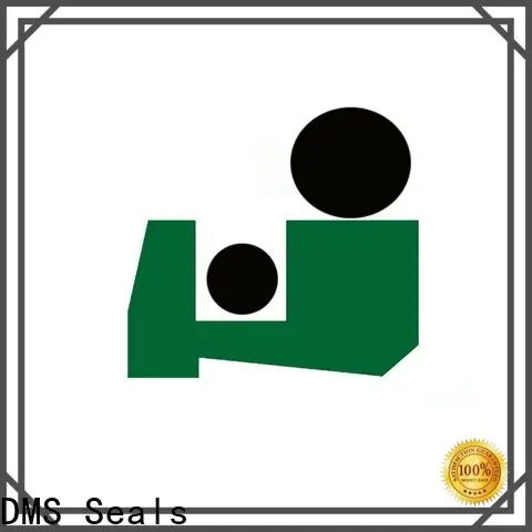 DMS Seals rod wiper seals company for injection molding machines 1