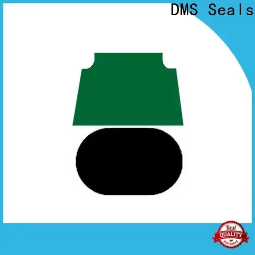 DMS Seals rod seal installation price for sale 1