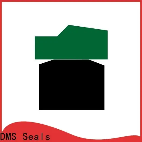 DMS Seals buy hydraulic seals manufacturer for sale 1