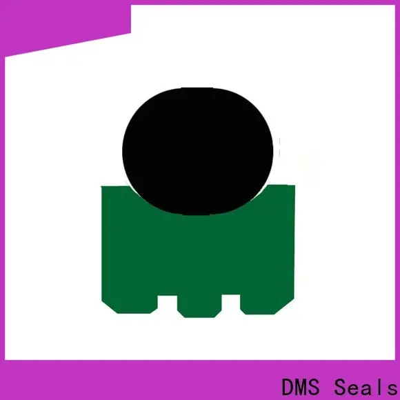 DMS Seals New spareage piston seals wholesale for automotive equipment 1