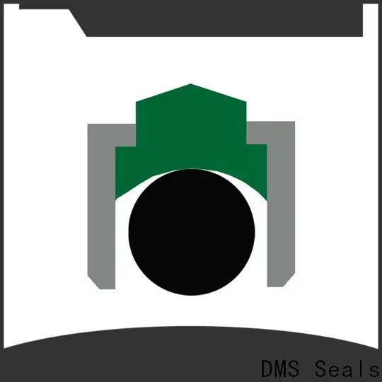 DMS Seals Top oil seal crossover factory price for automotive equipment 1