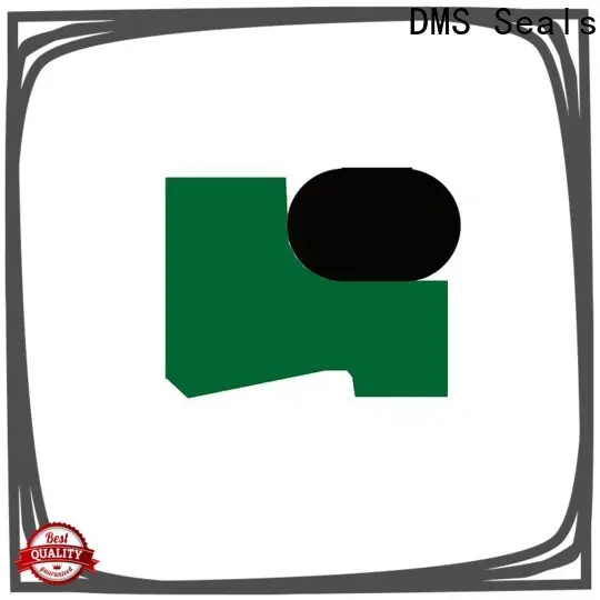 DMS Seals Top universal rubber window seals company for injection molding machines 1