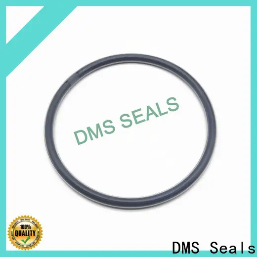 DMS Seals industrial o rings company in highly aggressive chemical processing 1