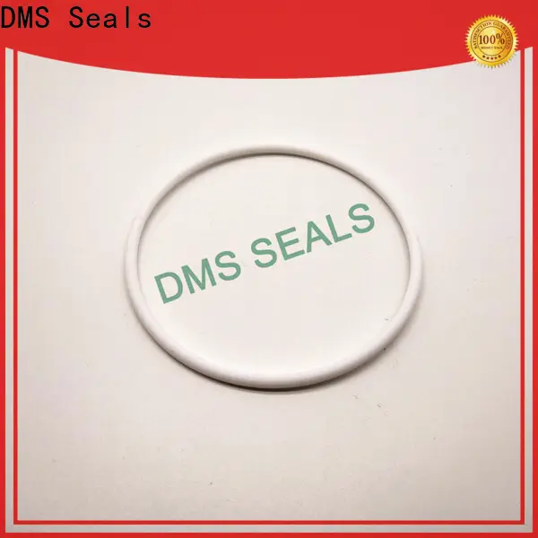 DMS Seals o ring seal kit for static sealing 1