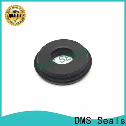 DMS Seals shaft seals for pumps for piston and hydraulic cylinder 1
