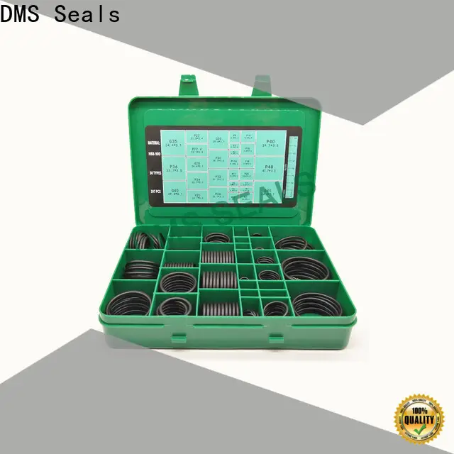 DMS Seals fuel rail o ring kit For seal 1