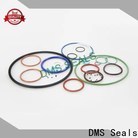 Top wiper seal design vendor in highly aggressive chemical processing 1