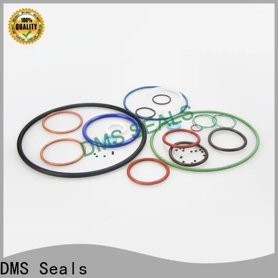 DMS Seals Best 20mm rubber o rings factory price in highly aggressive chemical processing 1