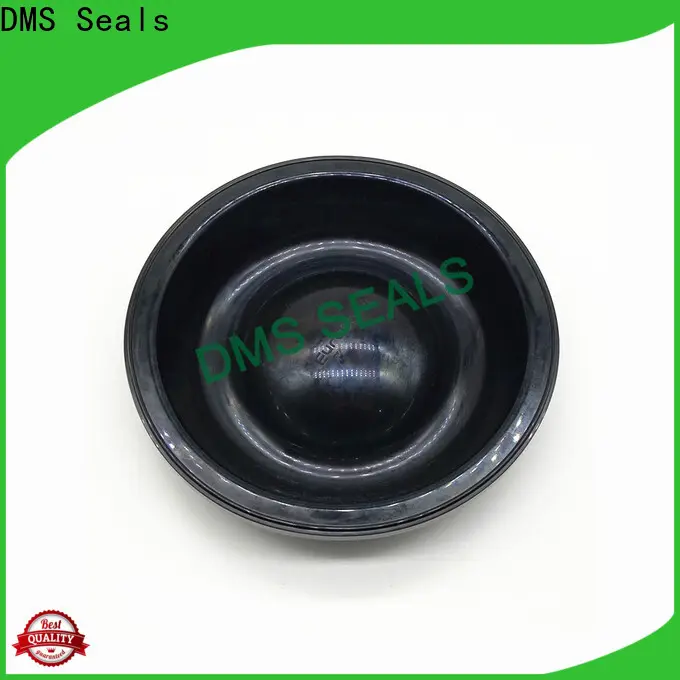 DMS Seals home door rubber seal for leakage gap 1