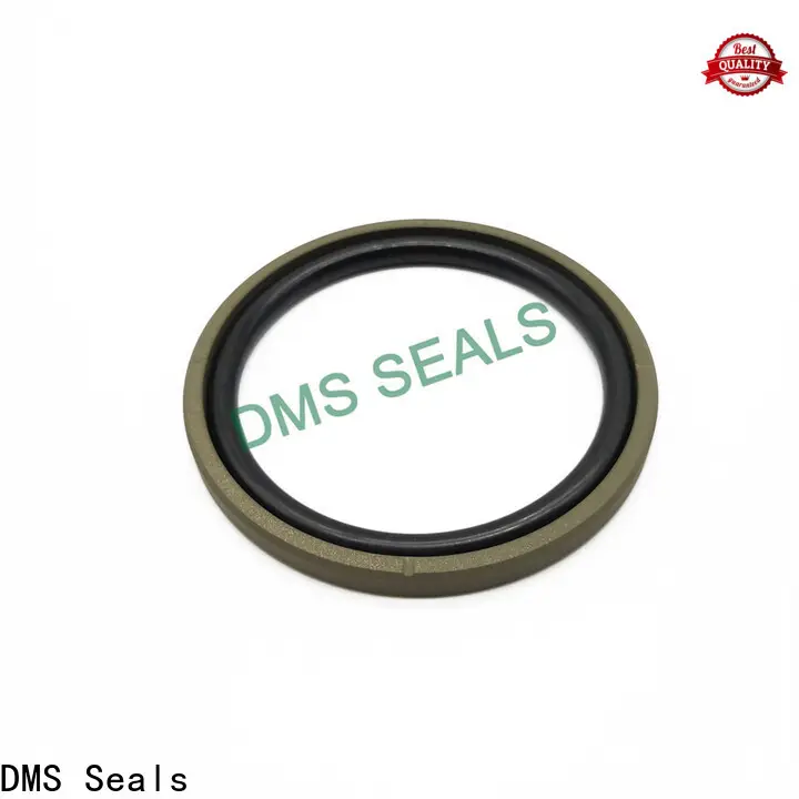 DMS Seals hydraulic cylinder gaskets factory for light and medium hydraulic systems 1