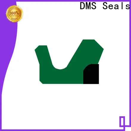 DMS Seals high quality hydraulic jack piston seal supply for sale 1