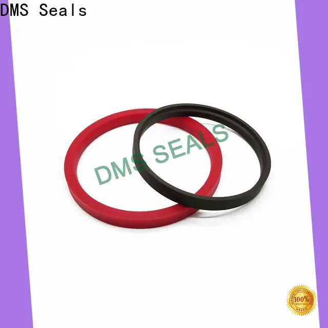 DMS Seals seal king manufacturing supply for larger piston clearance 1