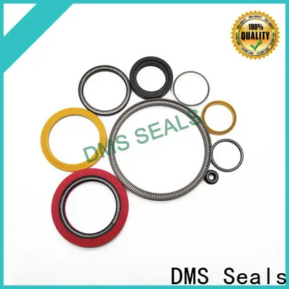 DMS Seals spring energized seals for choke lines1 1