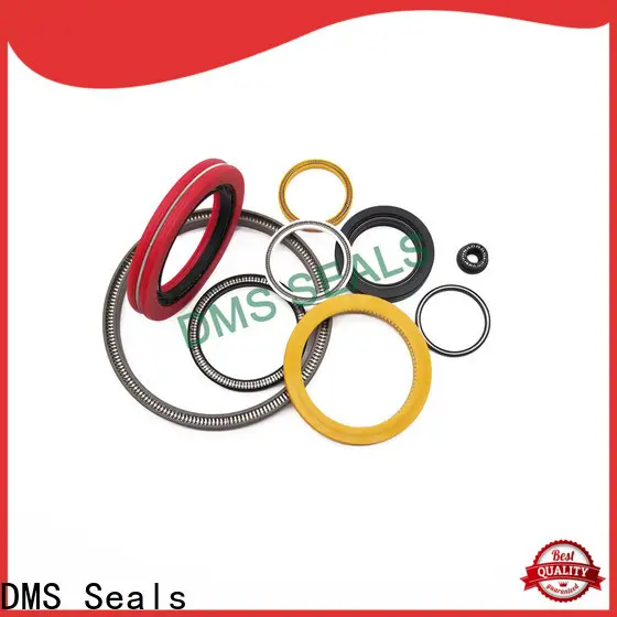 DMS Seals Custom spring energised seal wholesale for choke lines 1