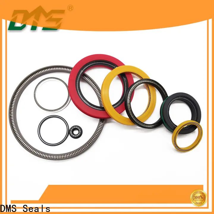 DMS Seals Customized spring energized teflon seals vendor for fracturing 1