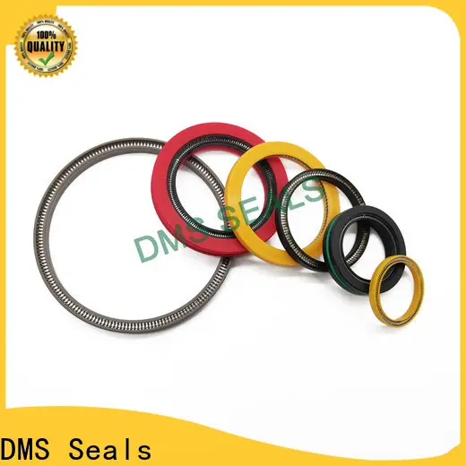 DMS Seals Buy parker spring energized seals supplier for fracturing 1