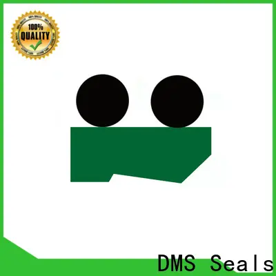 DMS Seals Bulk buy wiper ring for sale for injection molding machine 1