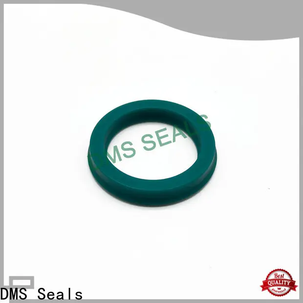DMS Seals carbon seal manufacturer supply for larger piston clearance1 1