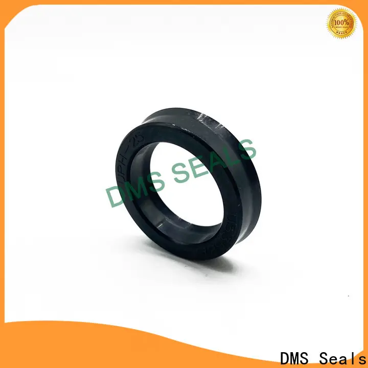 DMS Seals pump seal supplies supplier1 1