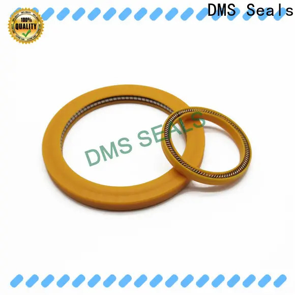 DMS Seals spring energized seals factory price for aviation 1