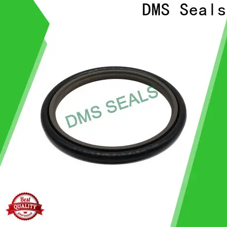 DMS Seals Best cylinder packing kits supplier for pressure work and sliding high speed occasions 1