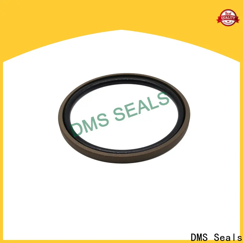 DMS Seals High-quality piston seal factory price for sale 1