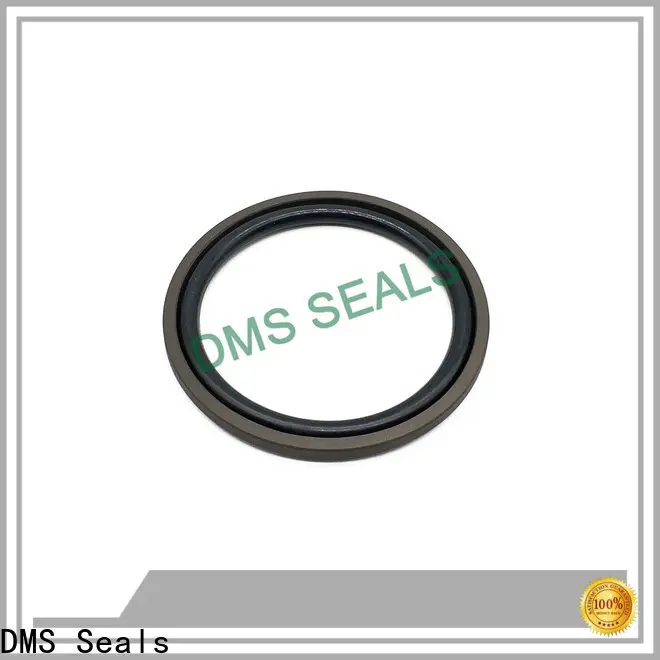 DMS Seals hydraulic cylinder packing replacement manufacturer for sale 1