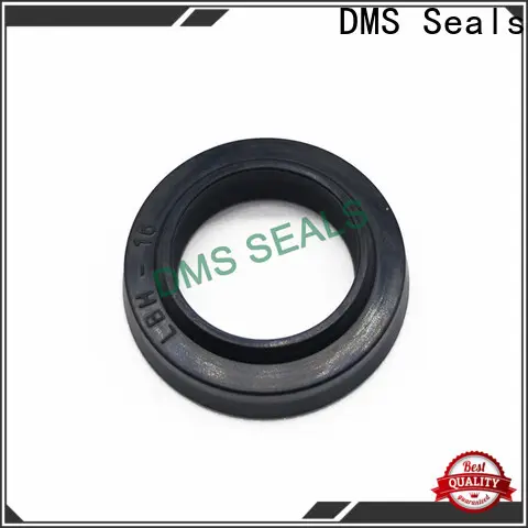 DMS Seals Quality double mechanical seal centrifugal pump price for piston and hydraulic cylinder 1
