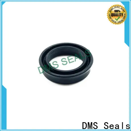 DMS Seals packing seal vs mechanical seal factory price for larger piston clearance 1