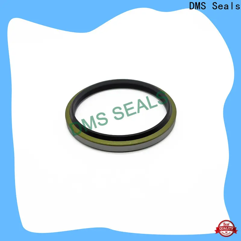 DMS Seals shaft seal manufacturers for sale for larger piston clearance 1
