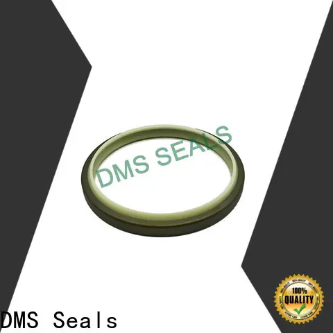 DMS Seals mechanical shaft seals springs manufacturer for piston and hydraulic cylinder 1