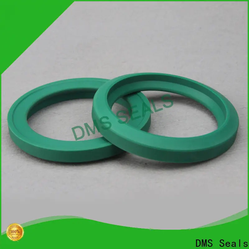 DMS Seals rubber seals and gaskets suppliers manufacturer for piston and hydraulic cylinder 1