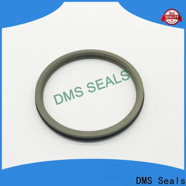 DMS Seals hydraulic piston cup seals cost for injection molding machines 1