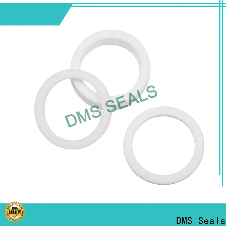 DMS Seals gasket supplier vendor for preventing the seal from being squeezed 1